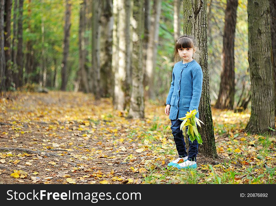 Adorable child girl walks in autumn forest