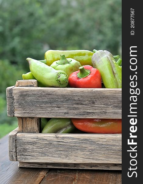 Box with peppers. Heap on a background of green peppers. Box with peppers. Heap on a background of green peppers.