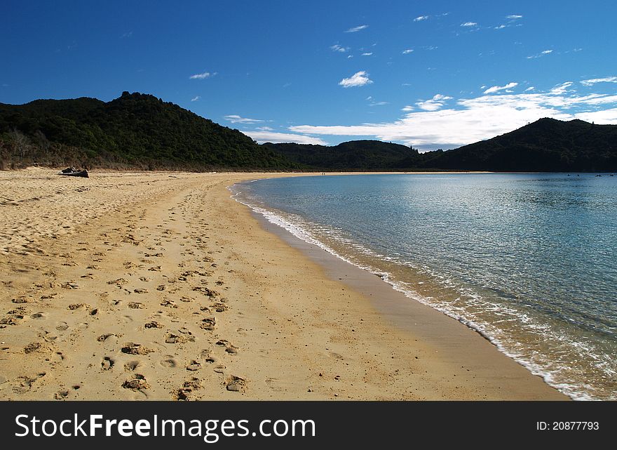 Lonely beach, Abel Tasman national park, South island, New Zealand