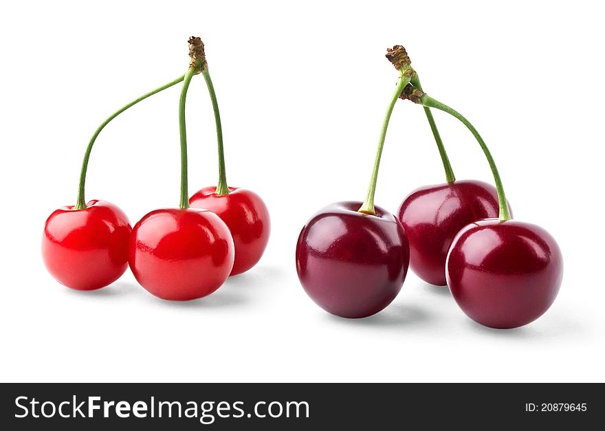 Red and vinous cherries on white background