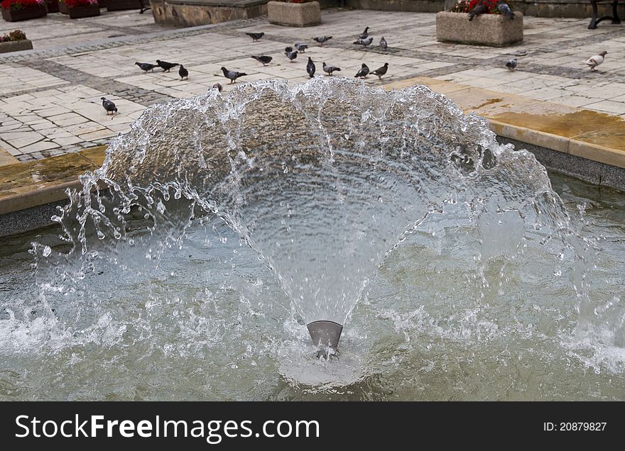Town market water fountain and birds