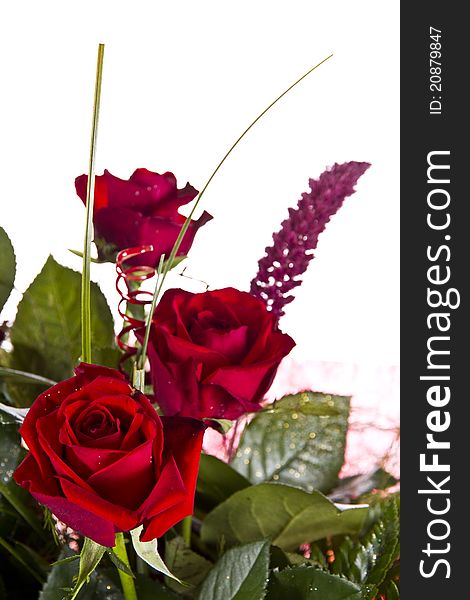 Bouquet of red roses isolatet on white background. Bouquet of red roses isolatet on white background