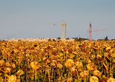 Tower Cranes Stock Photos Tower Cranes Stock Photos