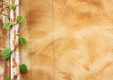 Wall And Ivy Vines Royalty Free Stock Image Wall And Ivy Vines Royalty Free Stock Image