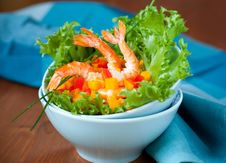 Shrimp Salad Royalty Free Stock Photos Shrimp Salad Royalty Free Stock Photos