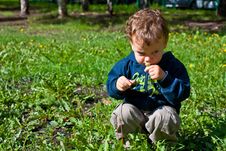 Cute Baby Blowing On A Dandelion Royalty Free Stock Photo Cute Baby Blowing On A Dandelion Royalty Free Stock Photo