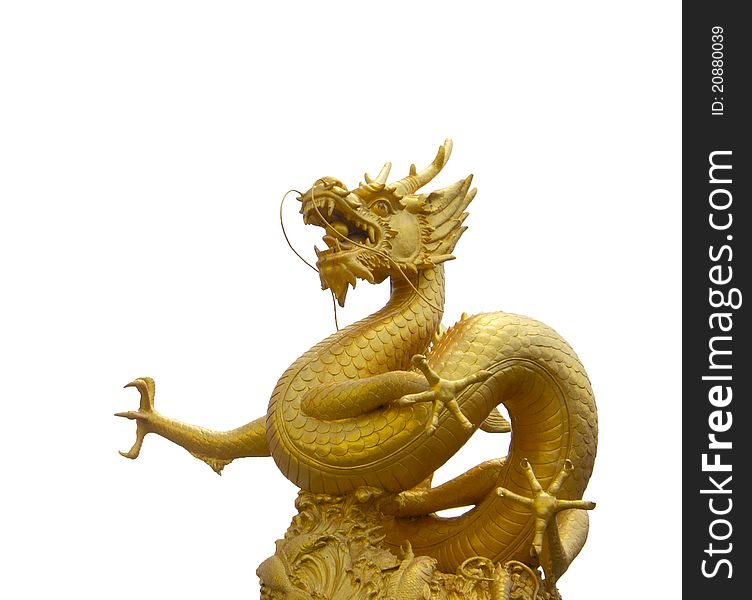 Golden Dragon In White Background