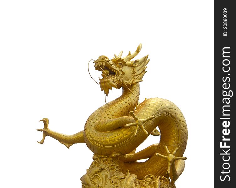 Golden dragon in white background