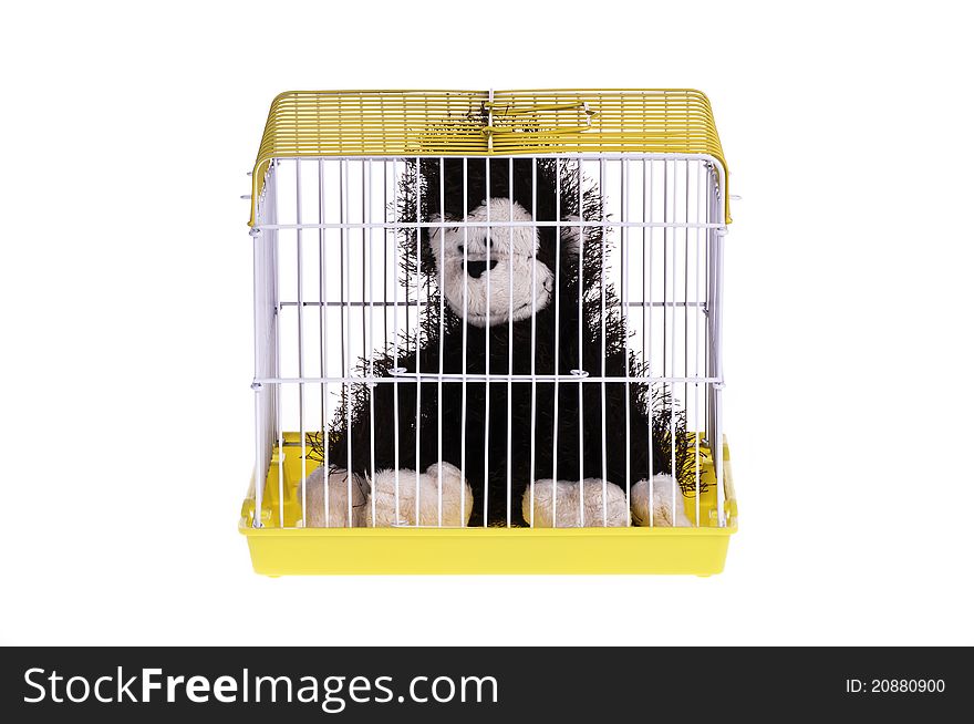 A monkey in the yellow cage, looking depressed. A monkey in the yellow cage, looking depressed