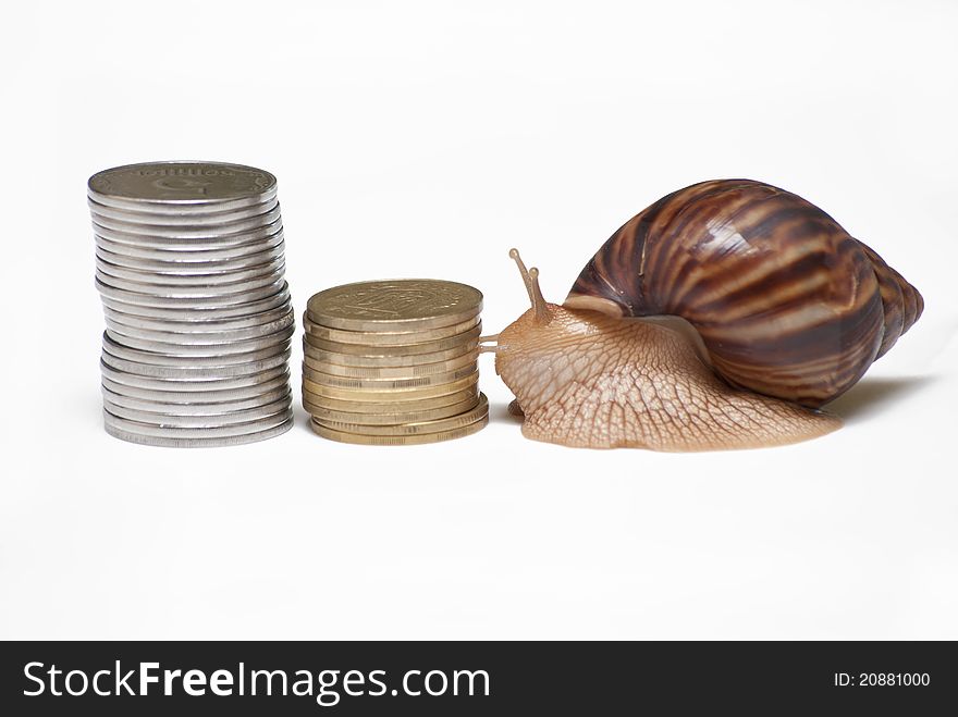 Snail crawling along the stairs of the coins