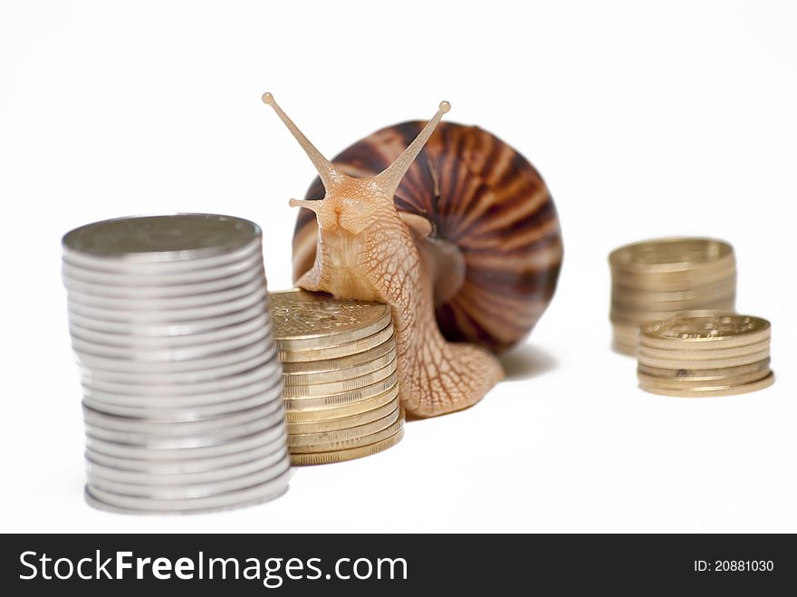 Snail crawling along the stairs of the coins