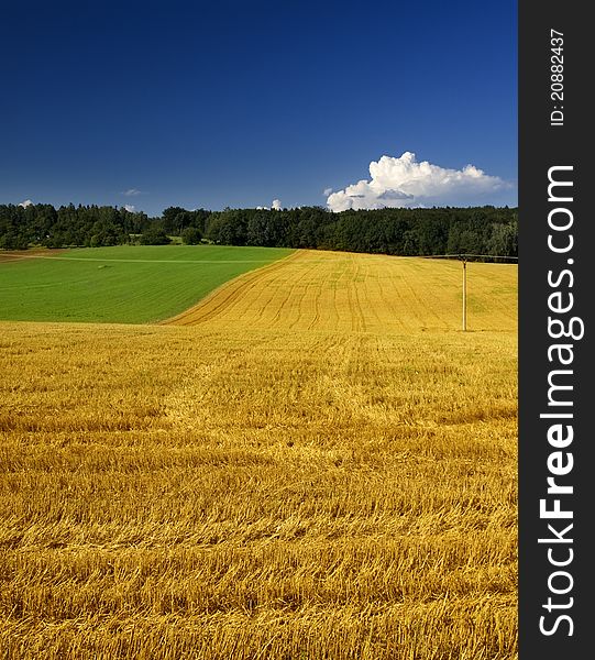 Green and yellow field and blue sky