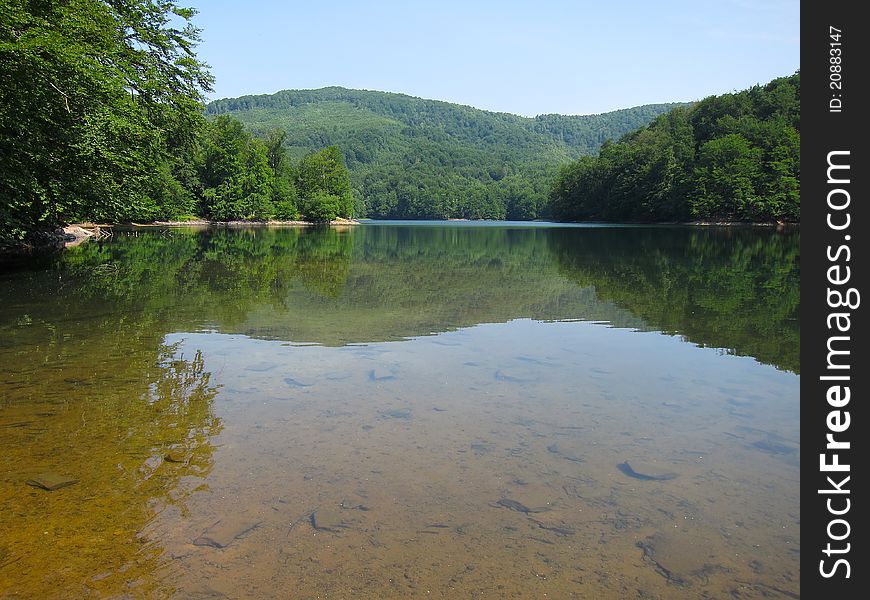 Calm nature lake in the middle of forest hills. Calm nature lake in the middle of forest hills