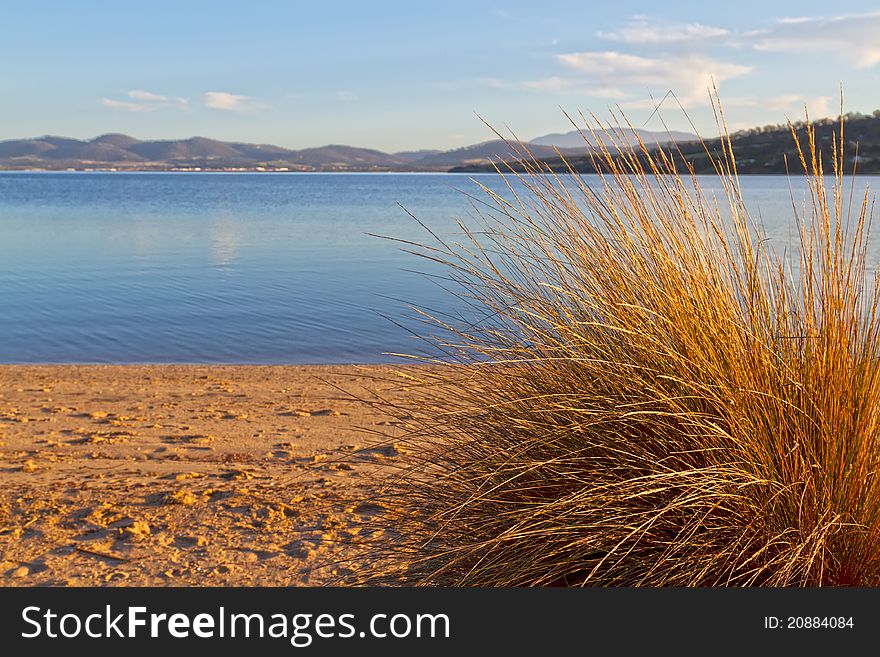 Beach scene, Tasmania