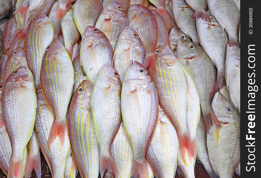 Fish on the market in Thailand