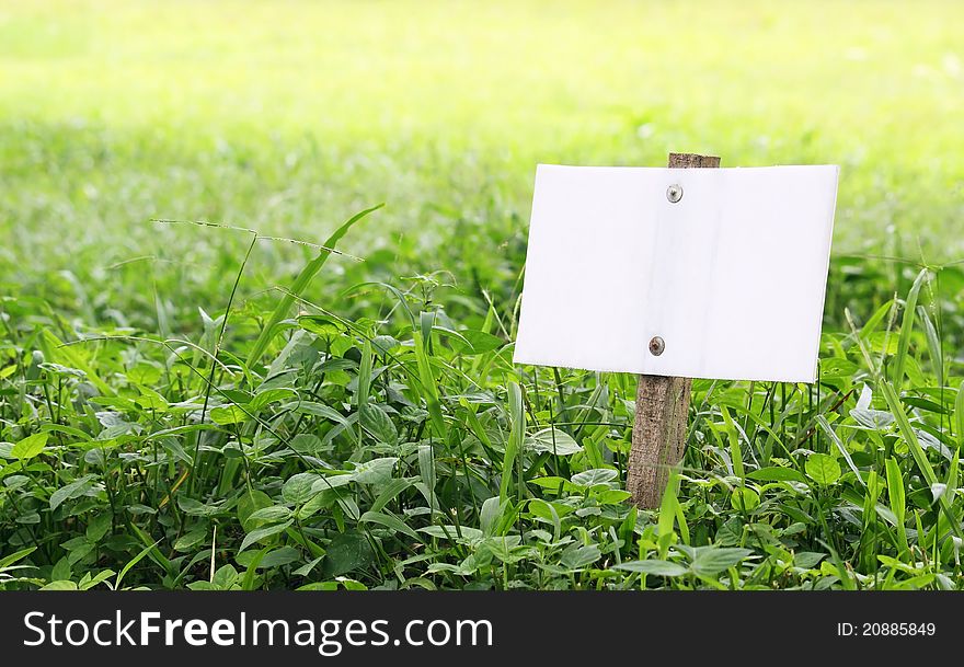 White signe board in green meodow for text writing