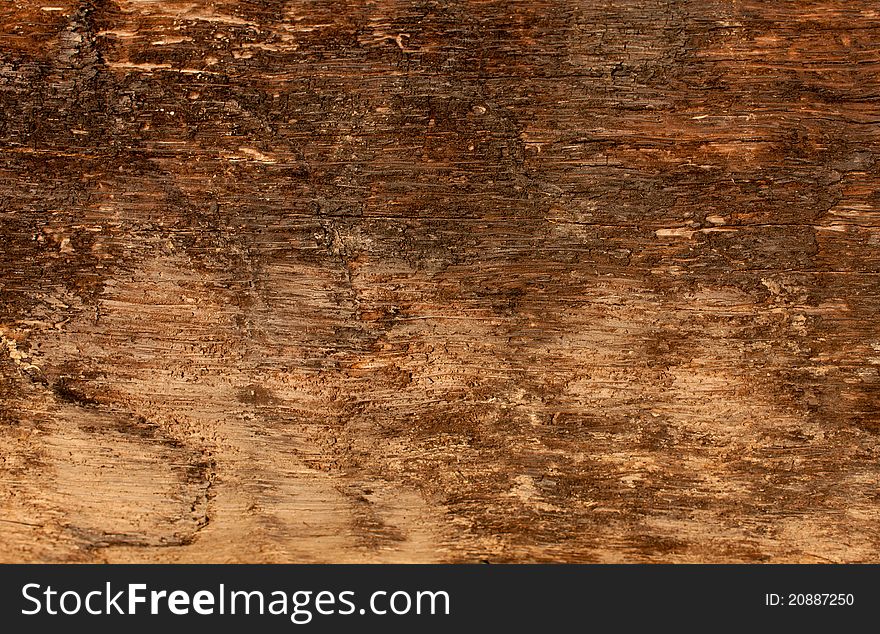 Old dark bark in texture. Old dark bark in texture