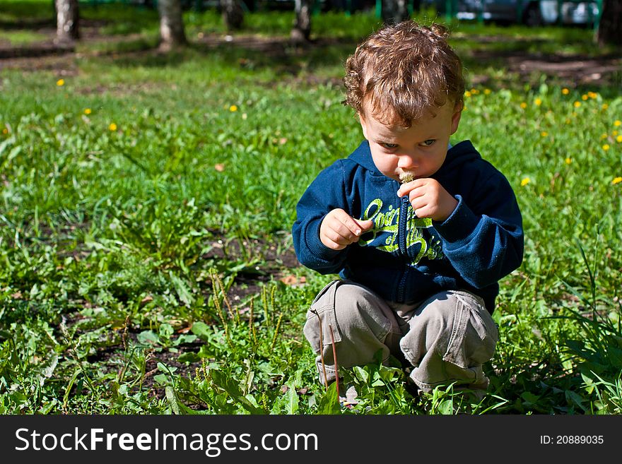 Cute baby blowing on a dandelion