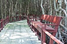 Wooden Benches Royalty Free Stock Photography Wooden Benches Royalty Free Stock Photography