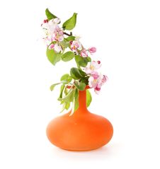 Bouquet Of Flowers And Blossoms Of Apple Stock Images Bouquet Of Flowers And Blossoms Of Apple Stock Images