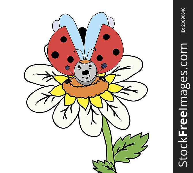 Flower With Ladybug