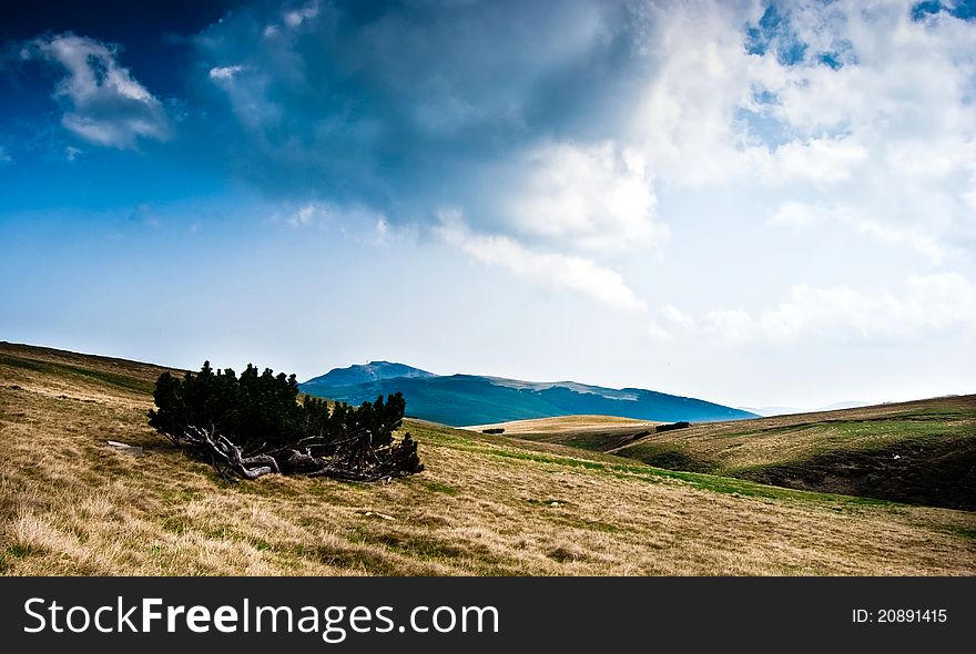 Picture of bucegi mountains in romania