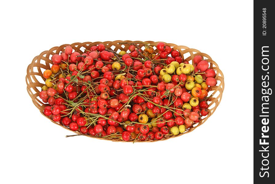 Hawthorn berries in a wicker basket on a white background