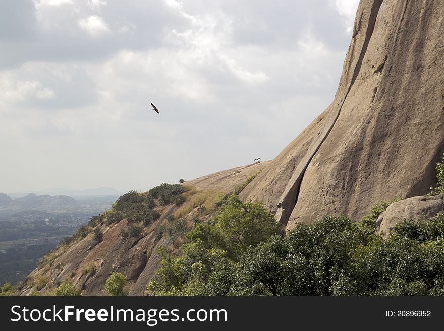 An eagle flying beside a sheer rocky cliff with cloud covered sky in the background. An eagle flying beside a sheer rocky cliff with cloud covered sky in the background