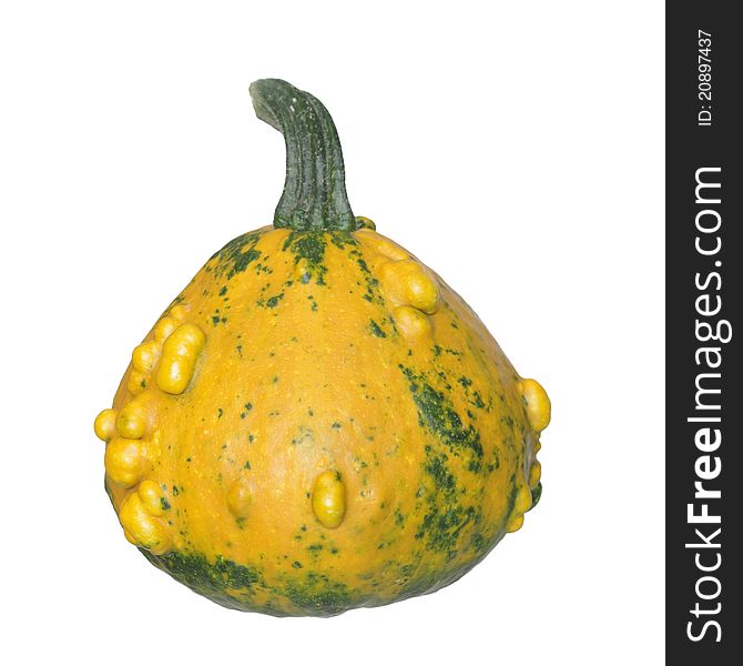 Yellow pumpkin on ehite background