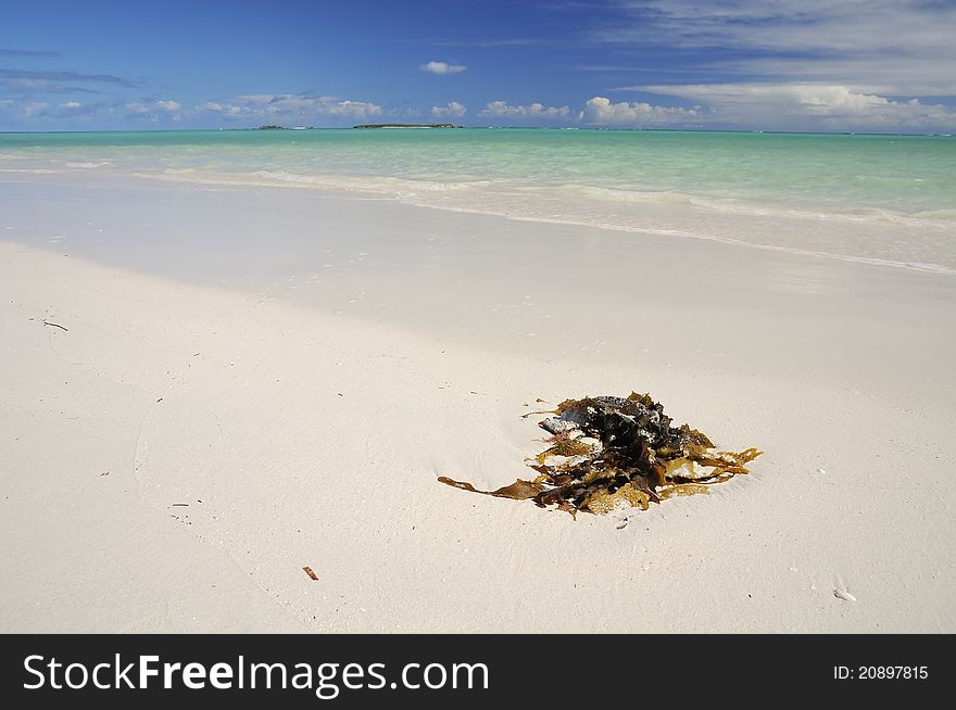 Beautiful Indian Ocean