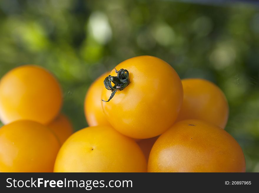 Fresh yellow tomatoes from Hungary