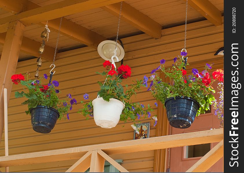Potted flowers on the background of a wooden house