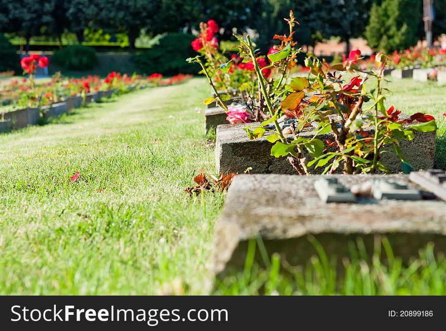 View of cemetery in Terezin, Czech Republic.