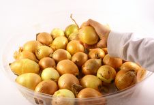Hand Holding Onions Stock Photo Hand Holding Onions Stock Photo
