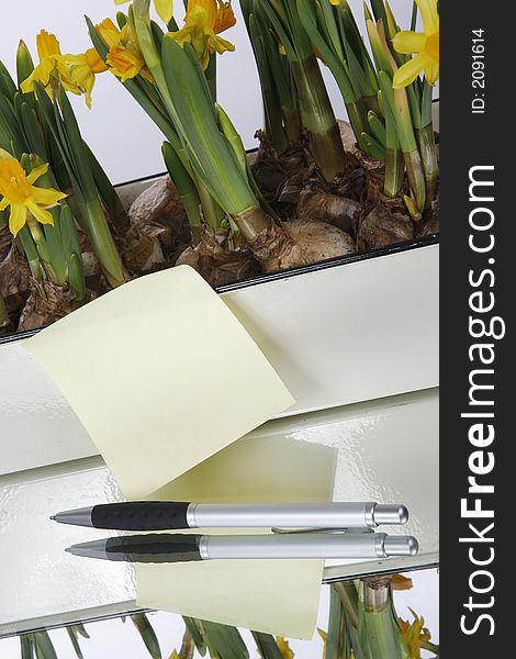 Blanc yellow note with yellow flowers in basket