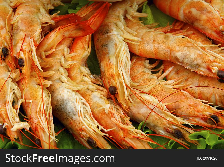 Many big shrimp for lunch. Many big shrimp for lunch