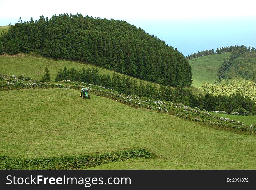 Azores Island landscape with a green lush view