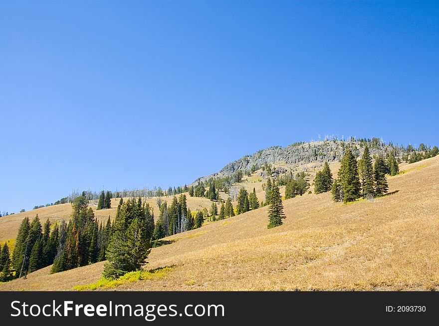 A hillside on a blue sky day in Lamar Valley of Yellowstone National Park. A hillside on a blue sky day in Lamar Valley of Yellowstone National Park