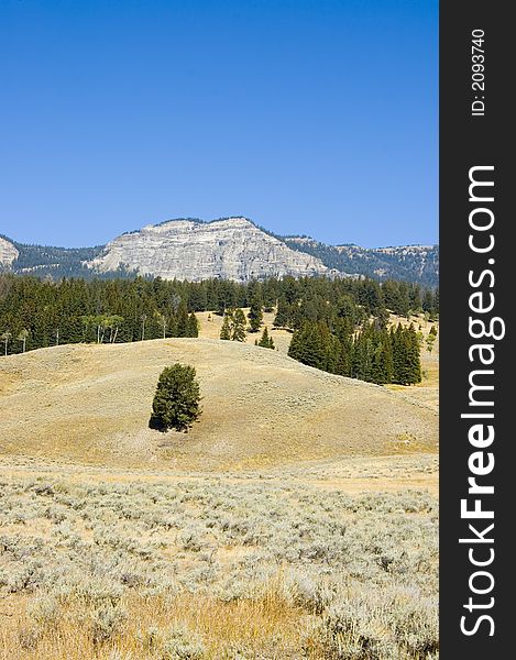 Blue sky in Yellowstone National Park's Lamar Valley. Blue sky in Yellowstone National Park's Lamar Valley.