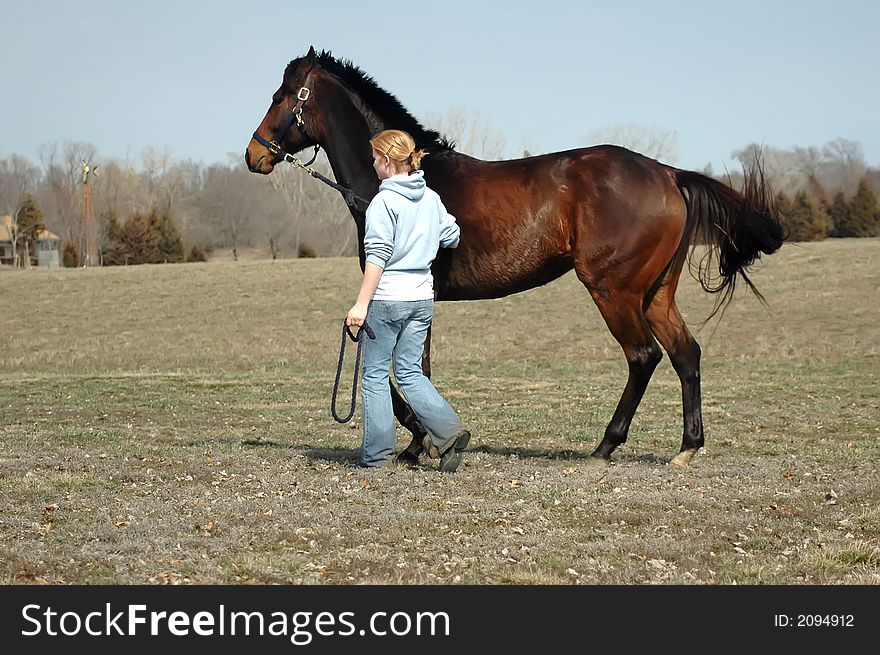 Young thoroughbred horse acting up after a bath while his owner holds the lead-line. Young thoroughbred horse acting up after a bath while his owner holds the lead-line.