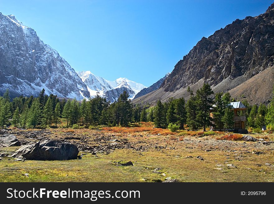 Wood, mountains and glacier. Altay. Russia.