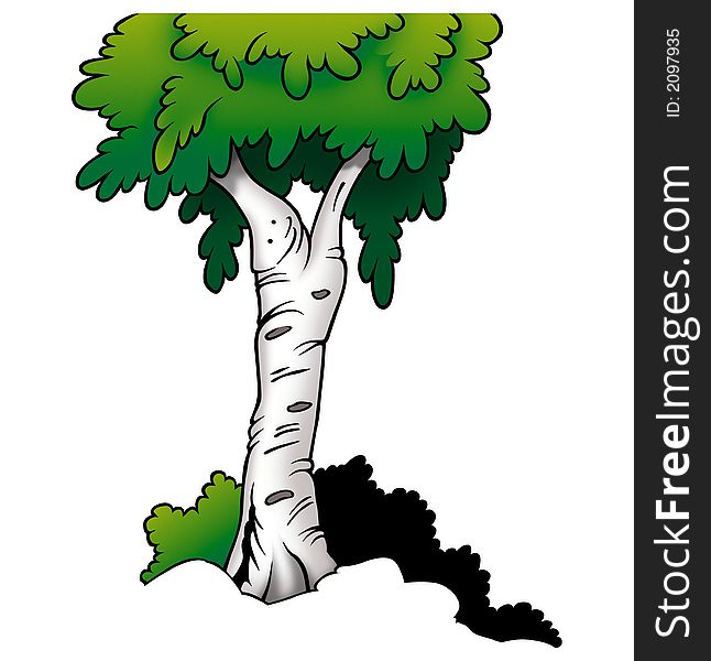 Tree 03 Birch - High detailed and coloured cartoon illustration. Tree 03 Birch - High detailed and coloured cartoon illustration