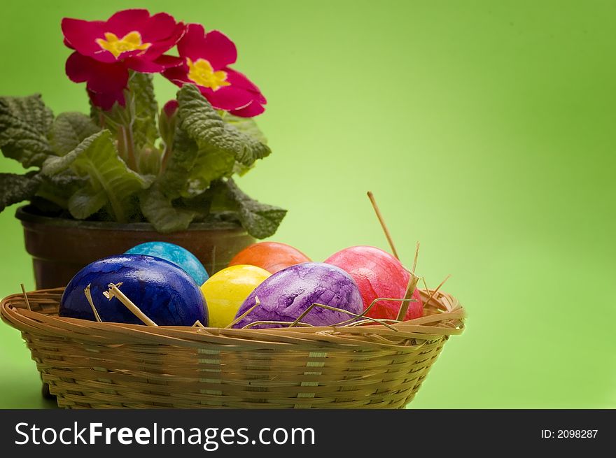 Basket with jolly colorful Easter eggs and a beautiful spring flower primrose. Basket with jolly colorful Easter eggs and a beautiful spring flower primrose