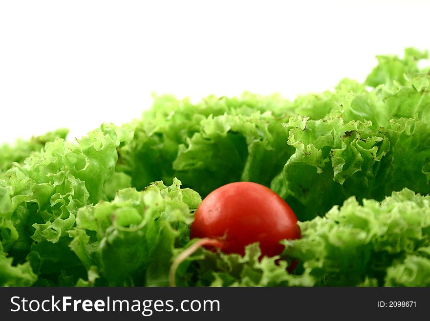 Close up at green fresh iceberg lettuce with one radish spot good as background. Close up at green fresh iceberg lettuce with one radish spot good as background