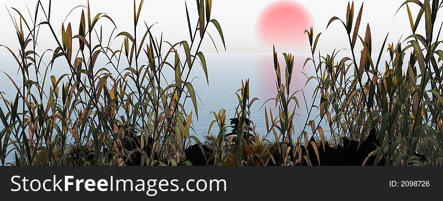 Water plants at sunrise -  3D scene. Water plants at sunrise -  3D scene.