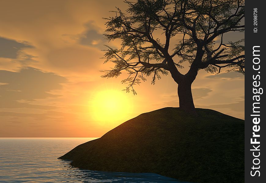 Sunset_Tree_Holm2