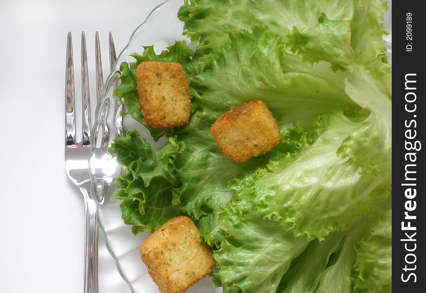 Select focus of fork and salad plate. Select focus of fork and salad plate