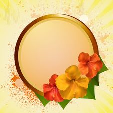 Hibiscus Flowers And Plaque Stock Photo Hibiscus Flowers And Plaque Stock Photo