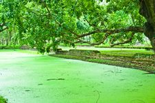 Sukhothai Historical Park Royalty Free Stock Photography Sukhothai Historical Park Royalty Free Stock Photography
