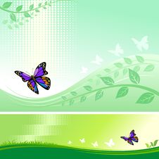 Abstract Butterfly Modern Vector Background Royalty Free Stock Photos Abstract Butterfly Modern Vector Background Royalty Free Stock Photos